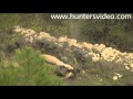 Lord Of The Pinnacles - Hunters Video