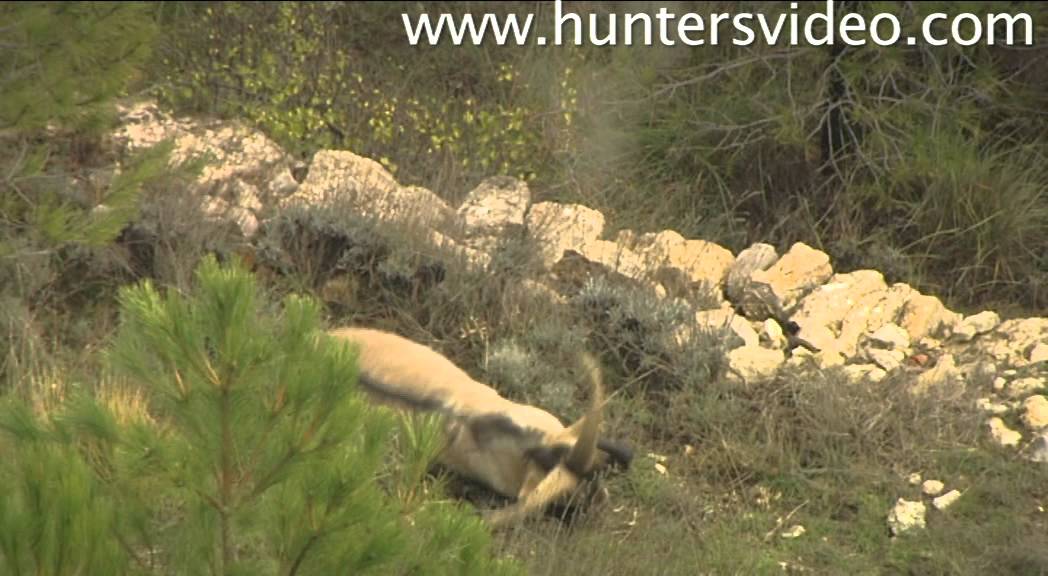 Lord Of The Pinnacles - Hunters Video