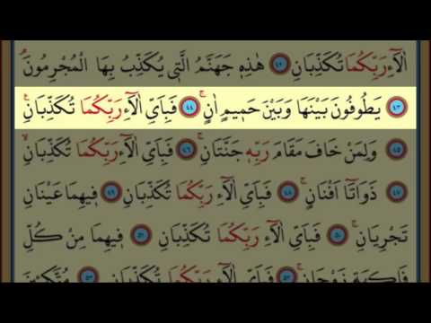 Surah Ar-Rahman(55) by Nasser Al Qatami Majestic Recitation(Rahman)