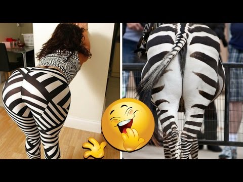 "Who Wore It Better?" Funniest Compilation Ever That Will Make You Laugh Out Loud Video