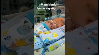 Download lagu Anak Surga Mami dan Ayah (Kayshila Putri Irawan) mp3
