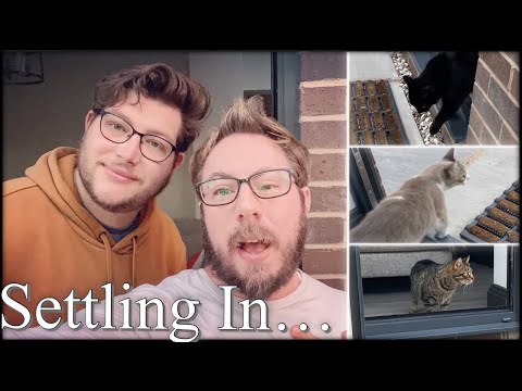 SETTLING INTO OUR NEW LIFE IN THE VILLAGE! CATS GO OUTSIDE! & MORE!
