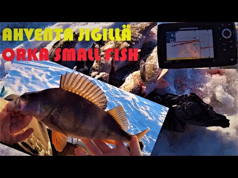 NÄTIN PAKKASPÄIVÄN PILKKIREISSU | HYVÄ PUSSI FILEAHVENTA!