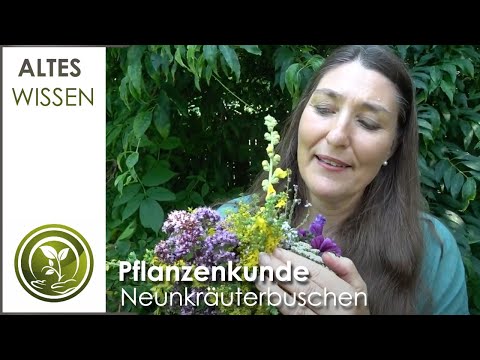 Der magische Neunkräuterbuschen - Altes Wissen