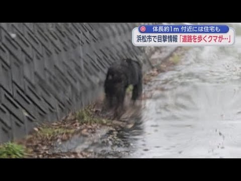 YouTube Video 浜松市浜名区でクマ１頭の目撃情報　全長１メートルほどか　市が注意を呼びかけ