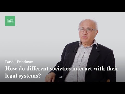 Different Law Systems David D  Friedman