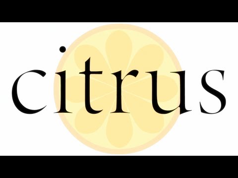 Citrus Opening