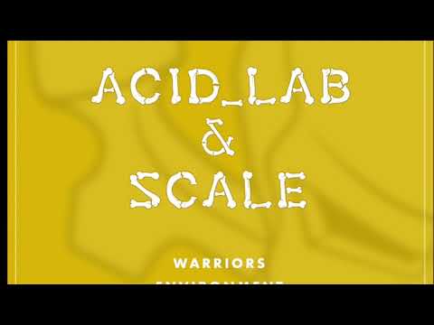 Acid Lab & Scale - Environment [SKELR13]
