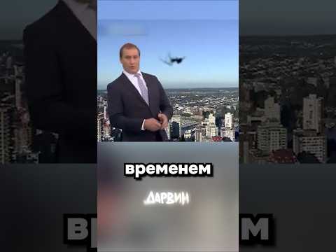 Гости в эфире