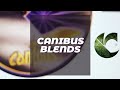 CANIBUS BLEND 36