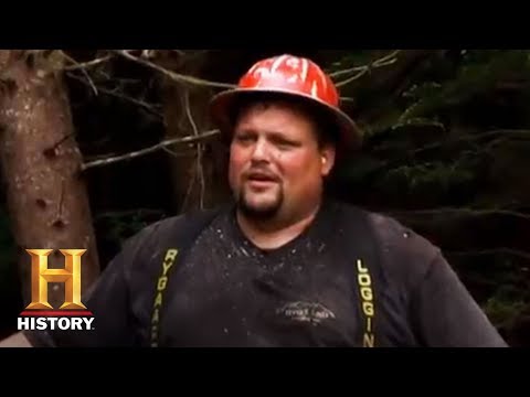 Ax Men: Tree-falling Close Call | History