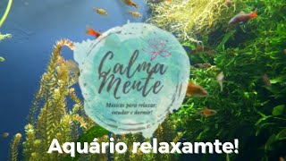 Aqurio relaxante!