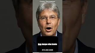 A Former Prosecutor Explains: Drug Arrests