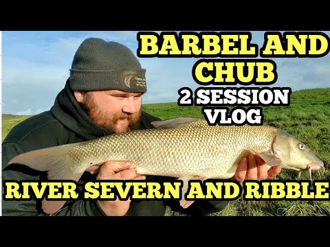 FLOODWATER FISHING FOR BARBEL AND CHUB - RIVER SEVERN AND RIBBLE