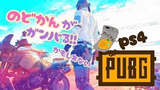 ［是非低評価］ノドカンがイクPUBG配信　ドン勝つ丼を求めて
