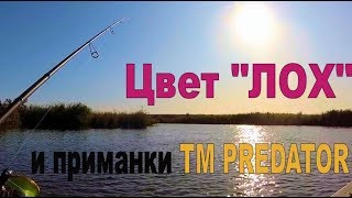 Ссылка