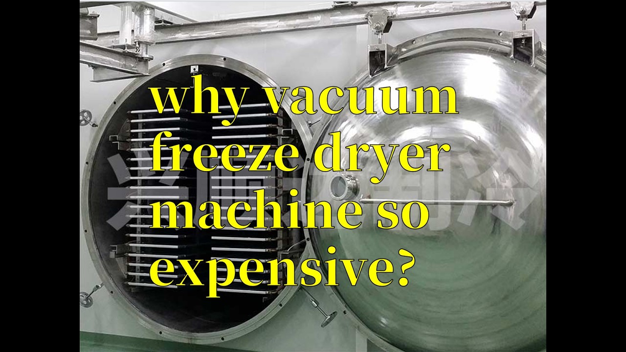 Why Are Vacuum Freeze Drying Machines So Expensive?