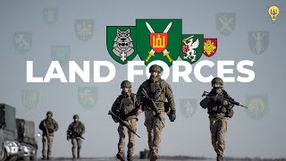 Combat Units Of Lithuania's Land Forces