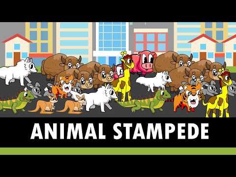 Animal Stampede | Animals in the City | DinoJordan