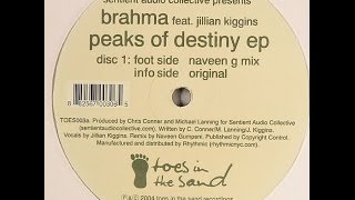 Brahma feat. Jillian Kiggins ‎– Peaks Of Destiny (Naveen G Mix)
