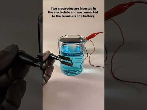 Copper Electro-Plating #science #shortvideos