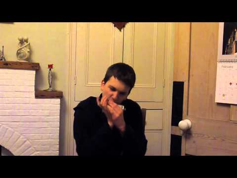 Kesh Jig/ Speed The Plow on harmonica (Mark Insley of Omnishambles)