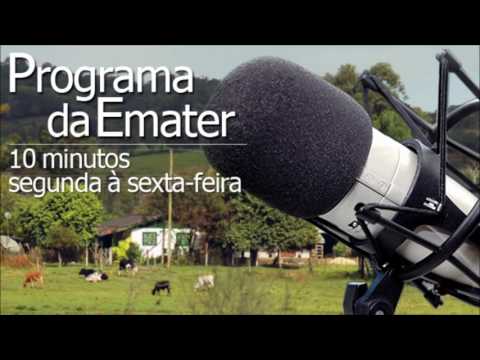 Programa da Emater 01112016