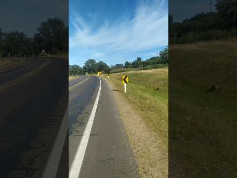 🚙🛣️camino a📍Las Flores🌳🐂🌾|Maldonado, #Uruguay