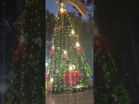 El arbol navideño en la plaza de Colonia Liebig Corrientes.