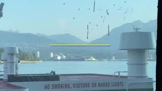 HAL Zaandam Oceanview Cabin 1964