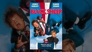 Black Sheep