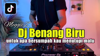 Download lagu DJ BENANG BIRU - DJ WALAUPUN AKU KALAH DI DALAM PERCINTAAN TIKTOK FULL BASS mp3