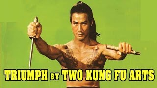 Wu Tang Collection - Triumph by Two Kung Fu Arts- ENGLISH Subtitled