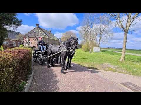 Stal Okkema's pair Brend & Deef