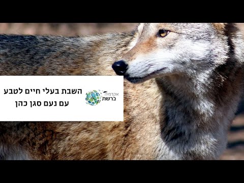 , title : 'השבת בעלי חיים לטבע עם נעם סגן כהן'