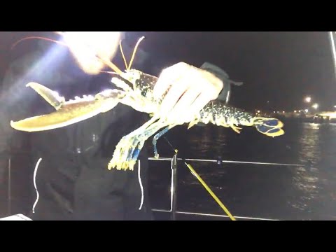 Live fishing with Sam and smash