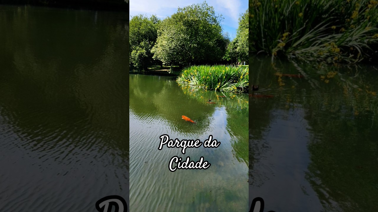 YouTube Short thumbnail