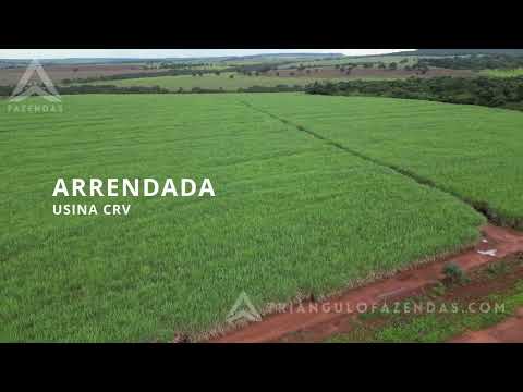 Fazenda a Venda em Capinopolis - MG - Triangulo Mineiro - Minas Gerais