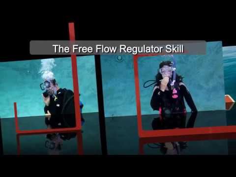 The Free Flow Regulator Skill