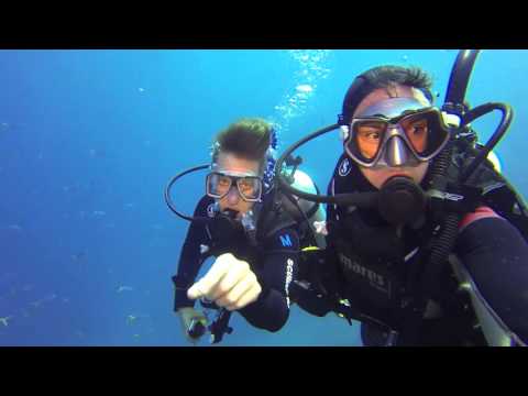 Diving in January 2016 Cairns The Great Barrier Reef