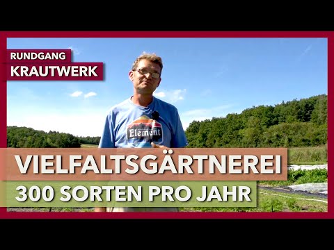 Vielfaltsgärtnerei für Gastronomie und Bauernmarkt | Krautwerk | Rundgang 1