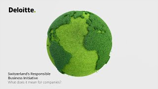 Responsible Business Initiative - what does the no vote mean for compa