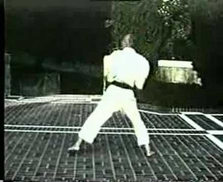 Niseishi Kata Wadoryu