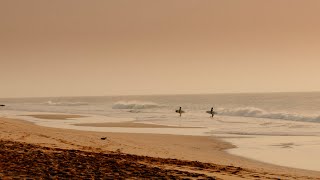 Giorgio Armani EA7 Emporio Armani Spring Summer 2024 Collection