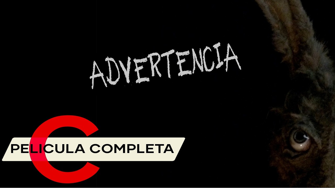 Advertencia (2020) | Película de Terror y Misterio | Español y Portugués | HD