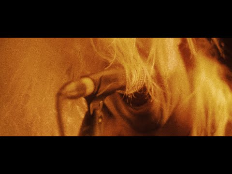 Suneater - Maelstrom (Official Music Video)