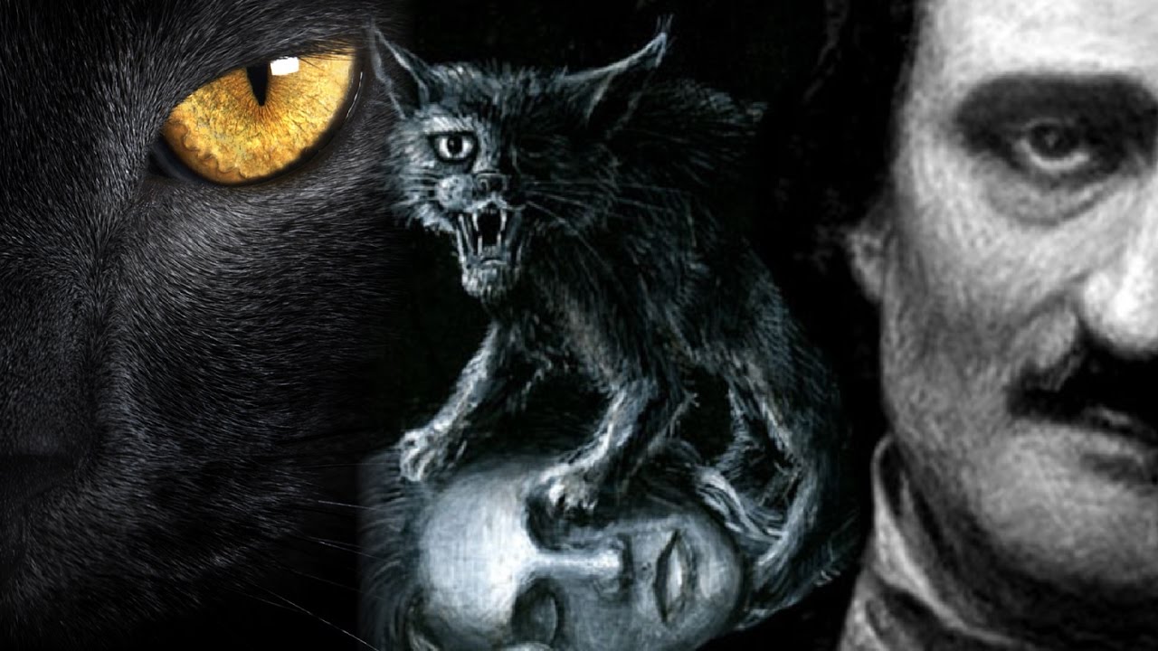 Watch Now GATO PRETO - O PERTURBADOR CONTO DE EDGAR ALLAN POE 👹 GATO PRETO - O PERTURBADOR CONTO DE EDGAR ALLAN POE 👹