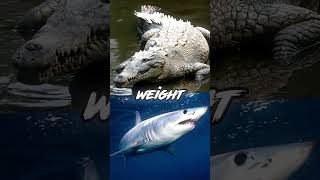 Download lagu Mako Shark Vs American Crocodile (Asymptotic Sizes) mp3