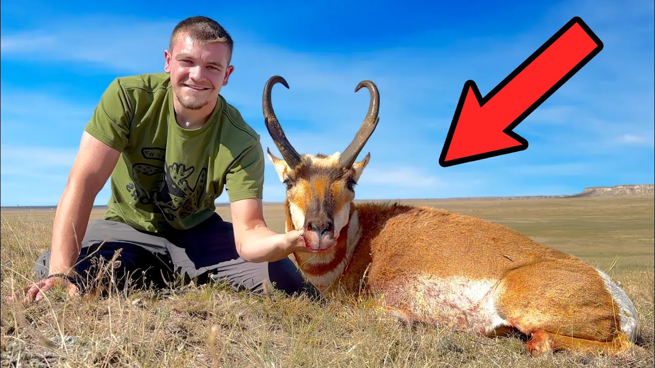 I Hunted Pronghorn Antelope for the First Time!