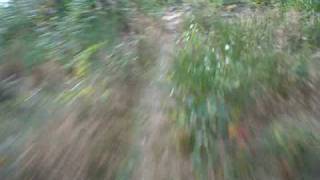 preview picture of video 'Freeride Trail Homolka Vimperk Helmet Cam.Riders:Lukas, Nerd'